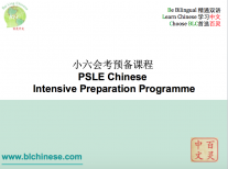 PSLE Chinese Intensive Preparation Programme